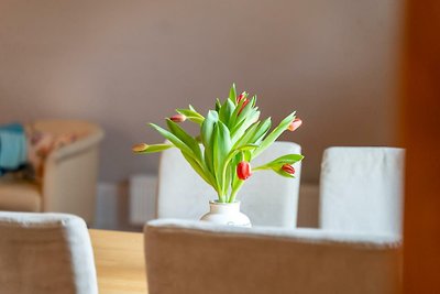 Appartement Vacances avec la famille Rechlin