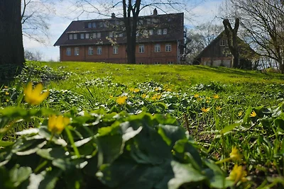 Hotel Bolter Mühle - Fewo Sonnenblumenzimmer