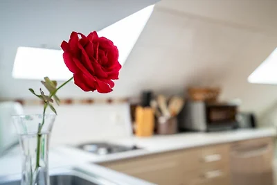 Ferienwohnung Seebusch
