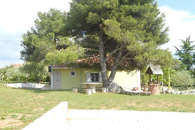 Pinien Ferienhaus Sukošan-Dalmatien