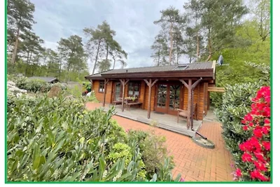 Ferienhaus Eichhörnchennest