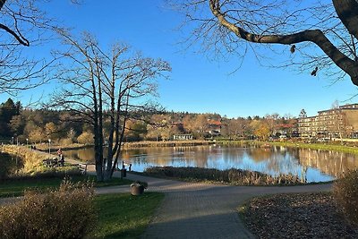 Bergzauber App. 507 im Ferienpark Hahnenklee