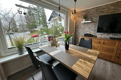 Bergblick Braunlage App. 17 & 18