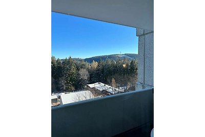 Vakantieappartement Gezinsvakantie Hahnenklee