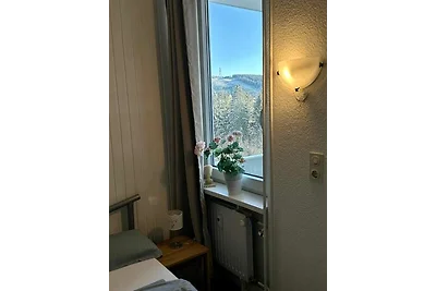 Ferienwohnung Bocksbergblick im Ferienpark...