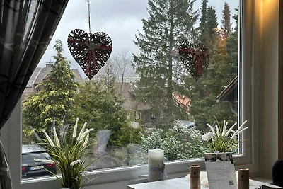 Bergblick Braunlage App. 17 & 18