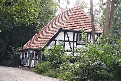 Ferienwohnung Güstrow Pfaffenteich