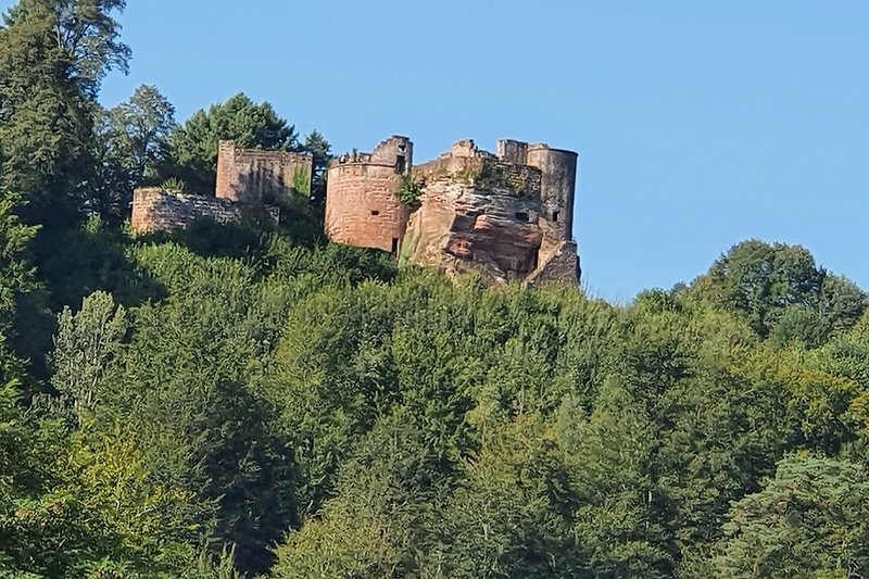 Burg Ruine Neu Dahn