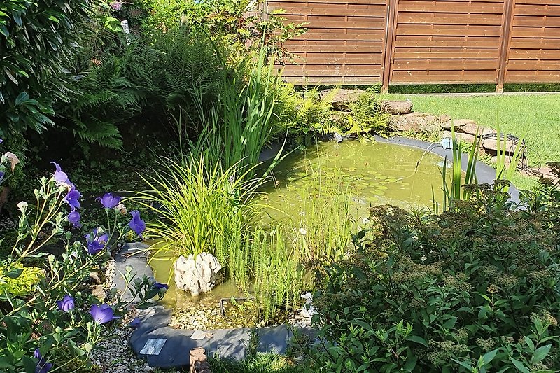 Garten mit Teich.
