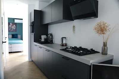 Beachhouse Renesse 2645