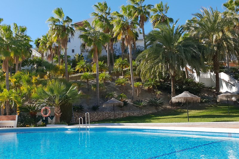 Kalifornienfeeling mit gefühlten 100 hohen Palmen in Oasis de Capistrano - dieses Resort hat ein fast karibisches Flair
