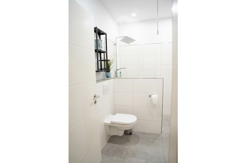 Ein modernes Badezimmer mit begehbarer Regendusche