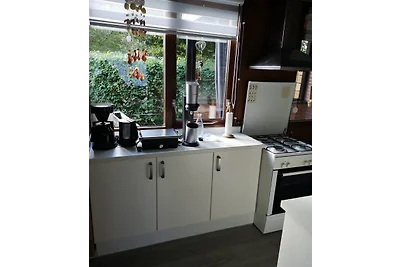 Ferienhaus Park Groenhart 12