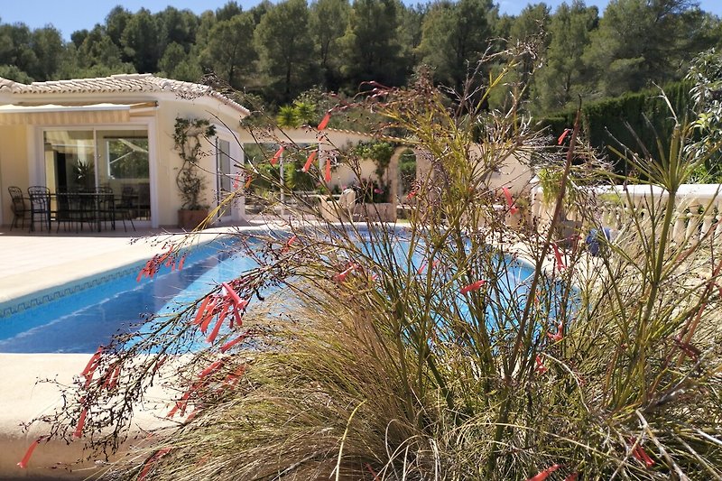 Schwimmbad, Garten, Haus und Natur - perfekt für Urlaub!