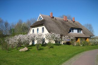 Feriendorf Puddemin Malve 2