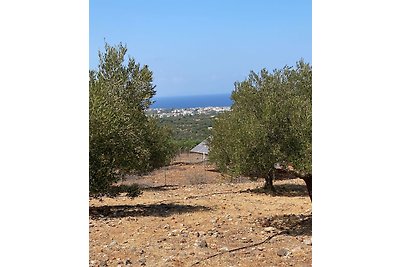 Eden-Sisi-Crète - location de voiture incluse*