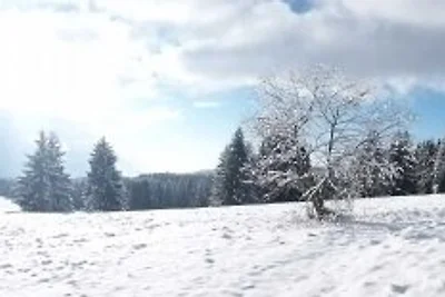 Ferienwohnung Engel/Sauna/W-Lan