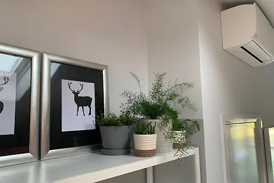 Apartment Visum Dune (Klima)