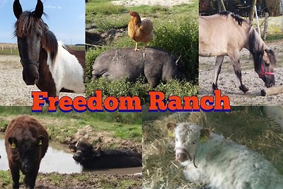 Freedom Ranch