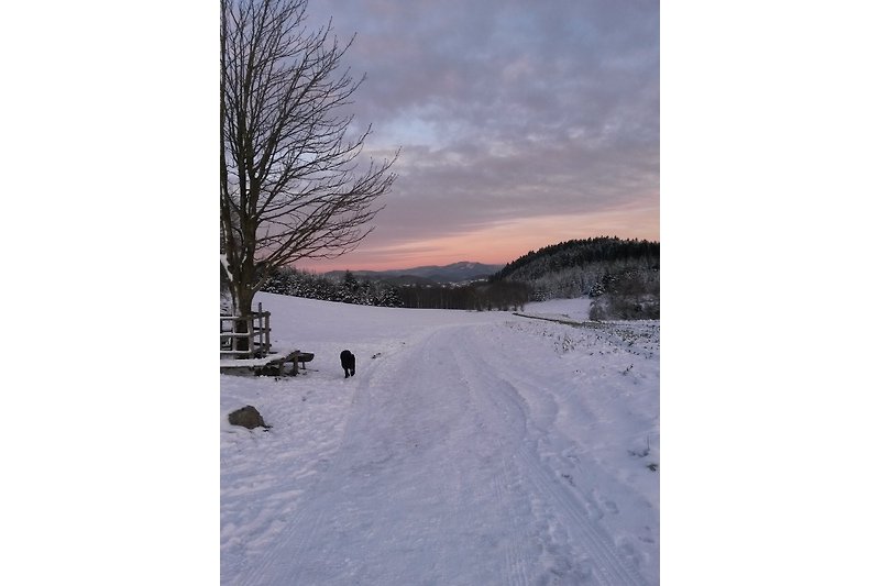 Winterspaziergang durch verschneite Felder und Wiesen.