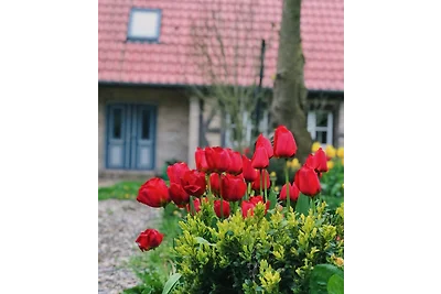 Ferienhaus Romantischer Winkel