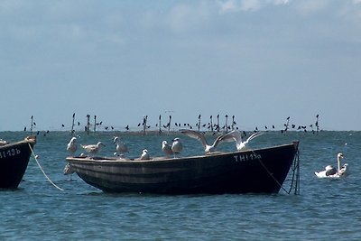 Ferienwohnung in Strandnähe, 6 Pers