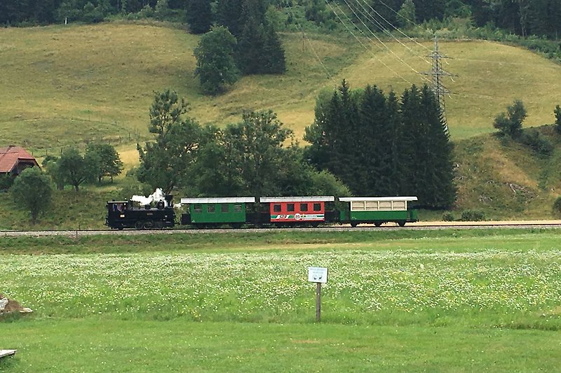 Murtalbahn mit Dampflokomotive
