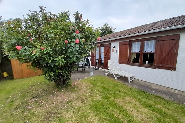 Ferienhaus Bredene aan Zee
