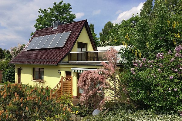 Ferienhaus Heringsdorf