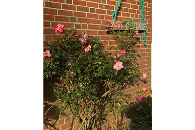 Rose-Cottage