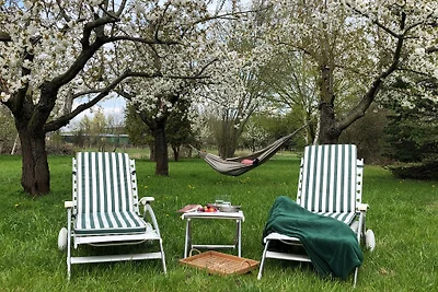 Auszeit - Haus am See, Ferienhaus