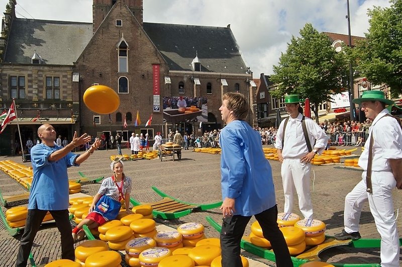 Käse Markt Alkmaar 