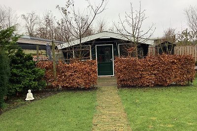 Gartenhaus mit Garten und Terrasse.