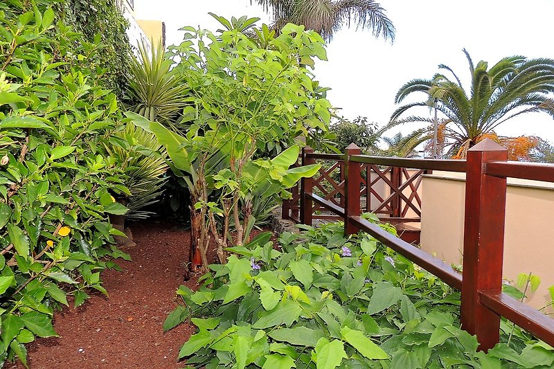 Hermoso jardín con plantas tropicales y una casa encantadora.