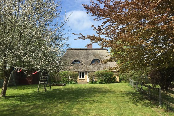 Ferienhaus Seeth