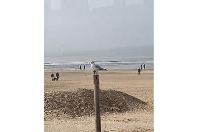 Zomerwoning vlakbij het strand!!