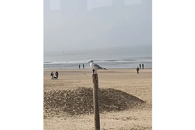 Zomerwoning vlakbij het strand!!