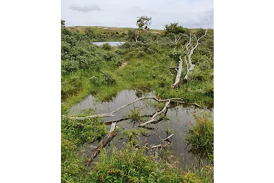 Zomerwoning vlakbij het strand!!