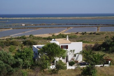 uniek panoramisch zeezicht