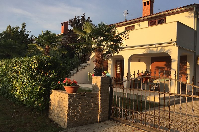 Schönes Haus mit Garten und Palmen in der Abenddämmerung.