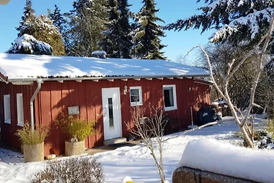 Ferienhaus im Bambuswald
