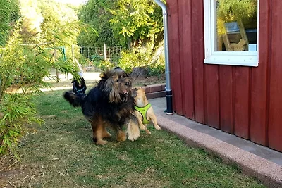 Ferienhaus im Bambuswald