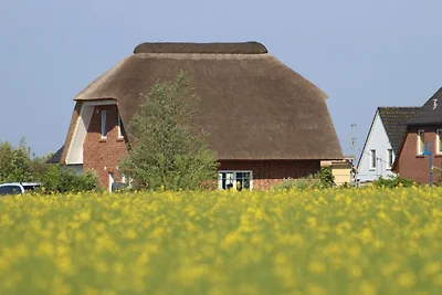 Hühnergotthus - Rügen