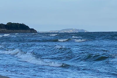 Hühnergotthus - Rügen
