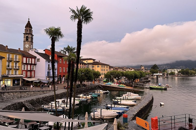 Schönes Bild mit Wasser, Booten, Gebäuden und Palmen am Hafen.