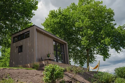 Tiny River House