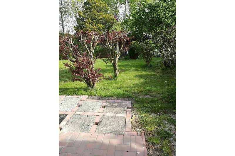 Gartenblick