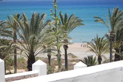 Palm Garden-Costa Calma * Meerblick