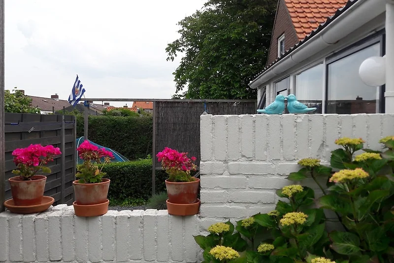 Giardino con una varietà di fiori colorati e un piccolo stagno al centro. Ci sono alcuni sentieri che si snodano attraverso il giardino, bordati da cespugli curati e alberi ombrosi. In lontananza, si può vedere una piccola casa di legno con un tetto di te
