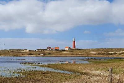 Texelshuisje